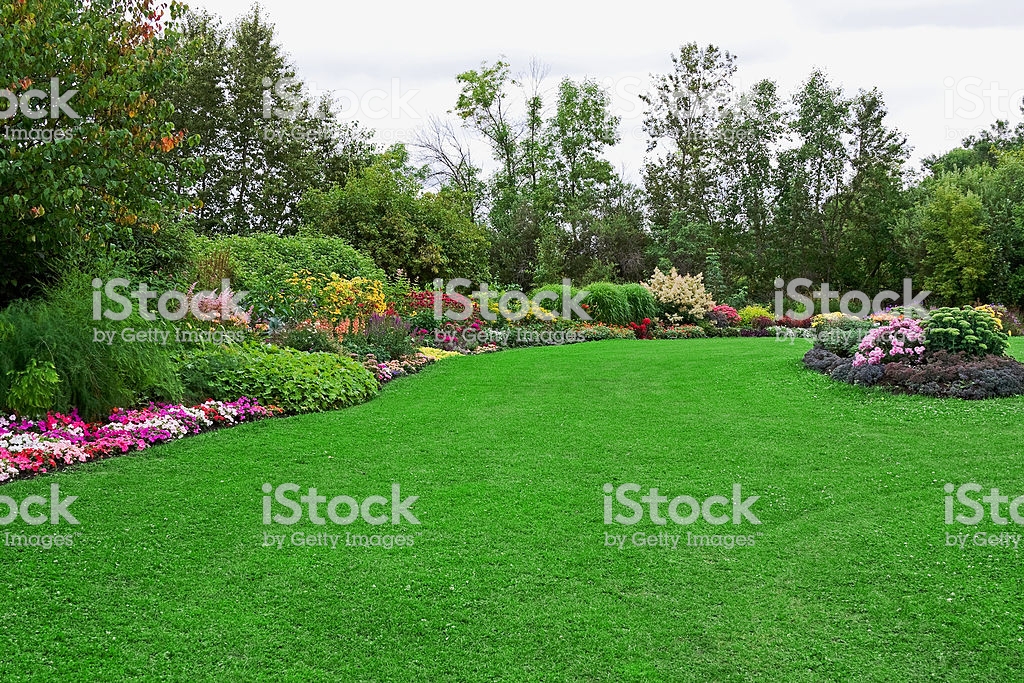 Landmark Landscaping - Lawn