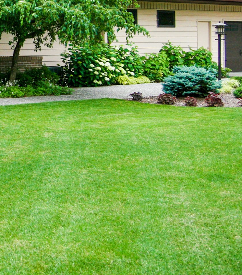 Landmark Landscaping